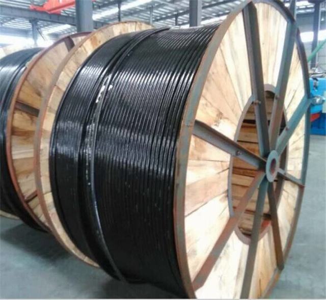 All Aluminum Alloy Stranded Bare Conductor AAAC/ACSR, Cable 35mm2