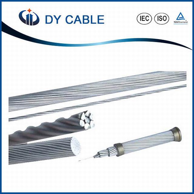Hard Drawn Bare or PVC XLPE Insulated Conductor