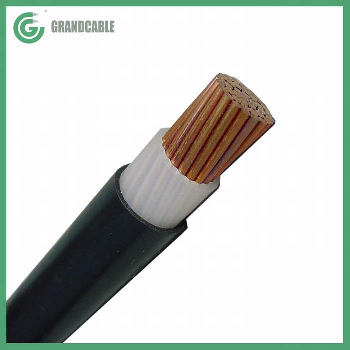 
                                 Single Core 1x300mm2 aislamiento XLPE Conductor de cobre y PVC Anti termitas roedores Sheahted 0.6/1kV de cable de alimentación                            