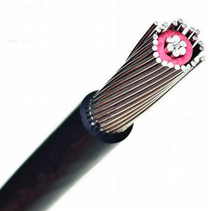 0.6/1kv 16mm 25mm Aluminum Alloy Conductor XLPE Insulation Sheath Concentric Cable