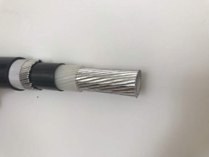 
                                 0.6/1kv 16mm de Concentrische Kabel van de Isolatie van de Leider XLPE van het Aluminium                            