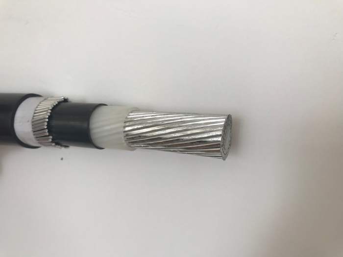 
                                 cavo concentrico del conduttore di alluminio del fodero del PVC isolato XLPE 0.6/1kv                            