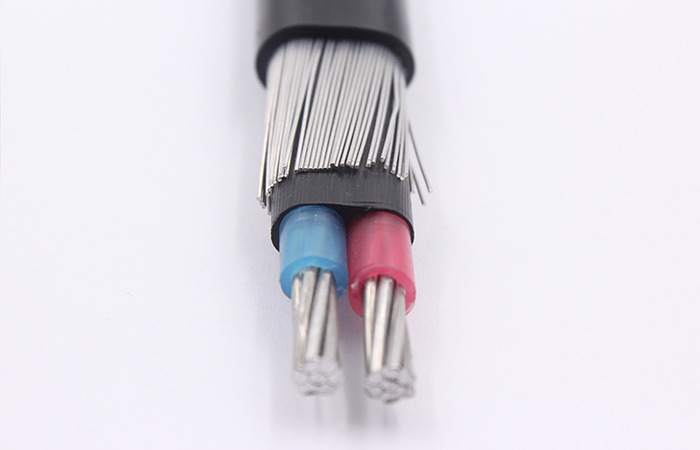 
                                 El conductor de aluminio de 2 núcleos aislados con PVC XLPE funda cable concéntrico                            