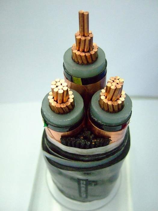 
                                 Conductor de cobre de 3 núcleos XLPE/PE Insualted Cable de alimentación de revestimiento de PVC                            