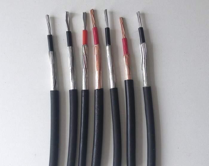 600V Aluminum Conductor XLPE Insulated 10mm Concentric Service Cable