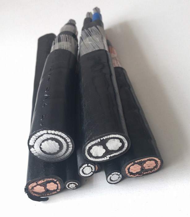 600V Aluminum Conductor XLPE Insulated 3 Core Concentric Cable
