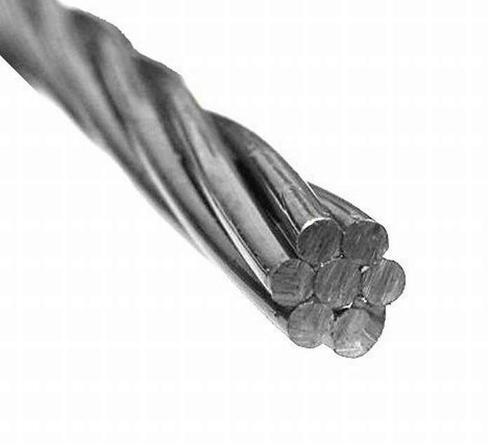 
                                 Les fils des câbles du fil en acier/séjour sur le fil conducteur multibrins câbles nus                            