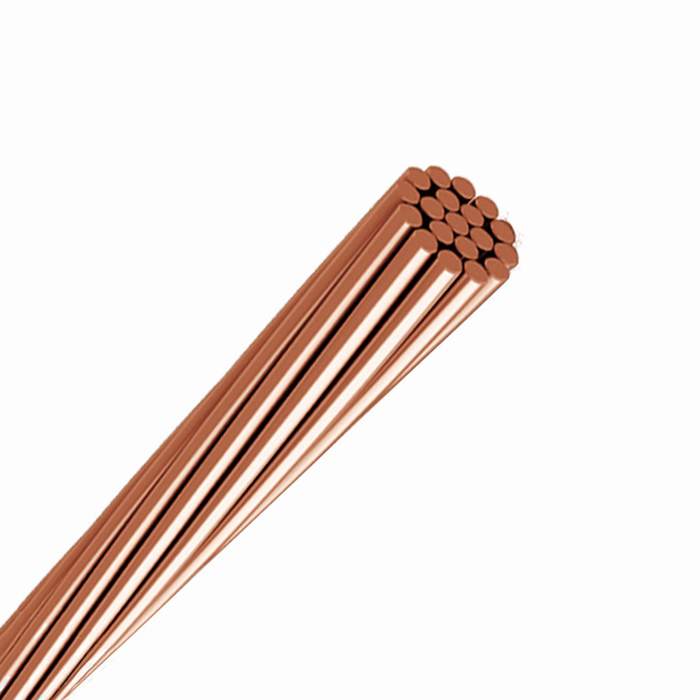 
                                 La norma IEC Disco sacado 16 25 35 Sqmm Conductor trenzado de cobre desnudo                            
