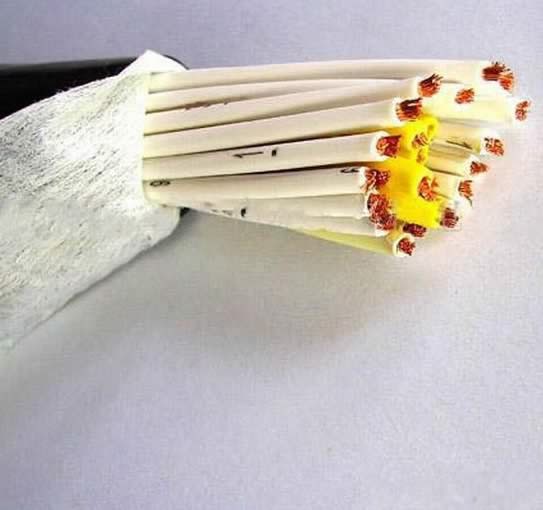  Contrôler le câble de 1,5 mm isolés de PVC souple l'instrumentation et le câble de commande du signal