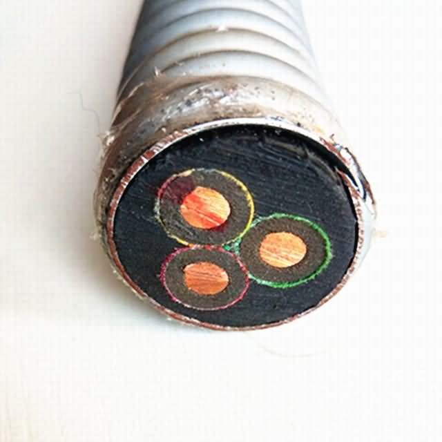  Blindados de acero la bomba de aceite sumergible Cable Esp