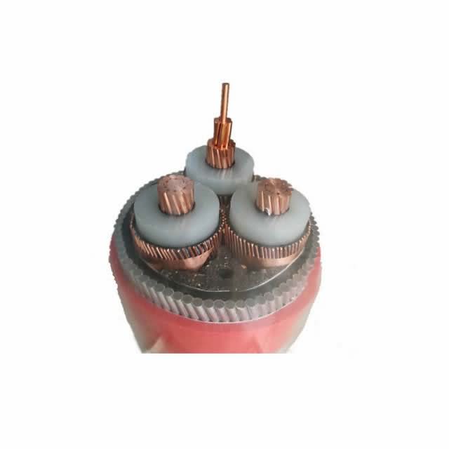 XLPE 12/20kv Na2xsy Na2xsfy Na2xs2y PE Sheath Electric Cable Power Cable Underground Cable