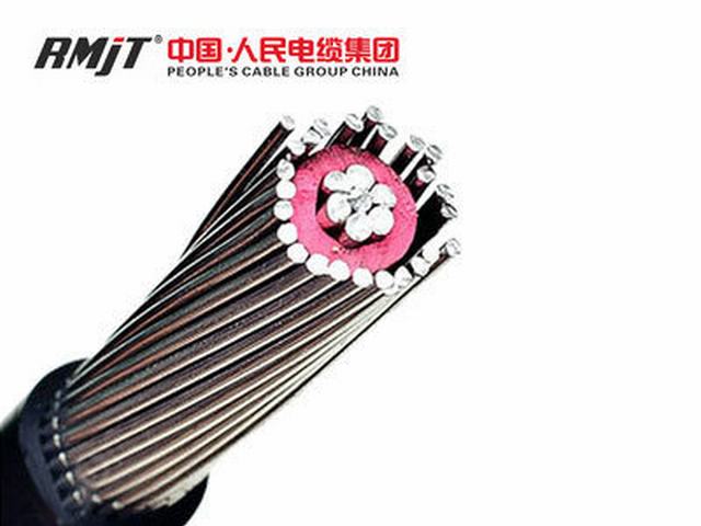 8000 Series Aluminum Alloy 2*6AWG Concentric Cable