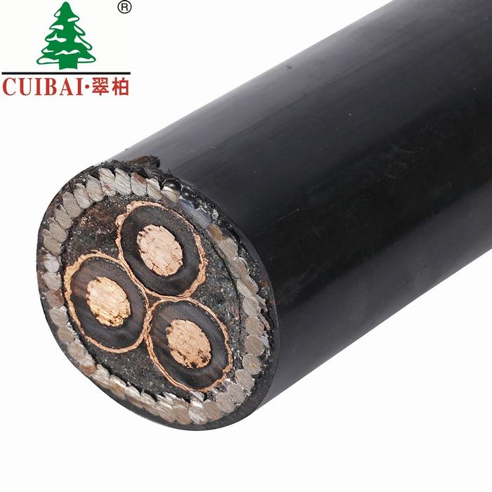 PVC XLPE Insulated Armored Multi Cores Electrical Concentric Cable