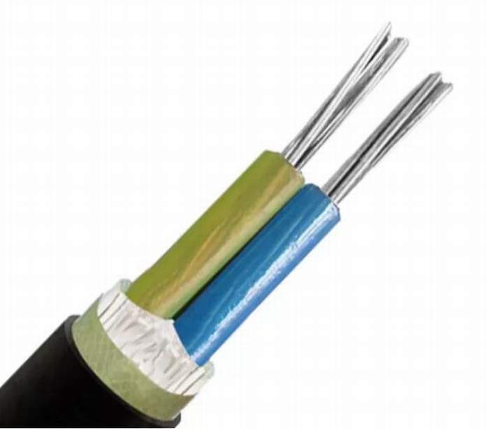 
                                 35 mm² rigide câble conducteur multibrins isolés en polyéthylène réticulé personnalisé Na2xy                            