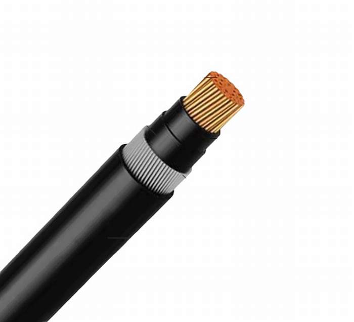 Low Voltage Copper Couductor XLPE Insulation Swa Armored PVC Sheath Power Cable