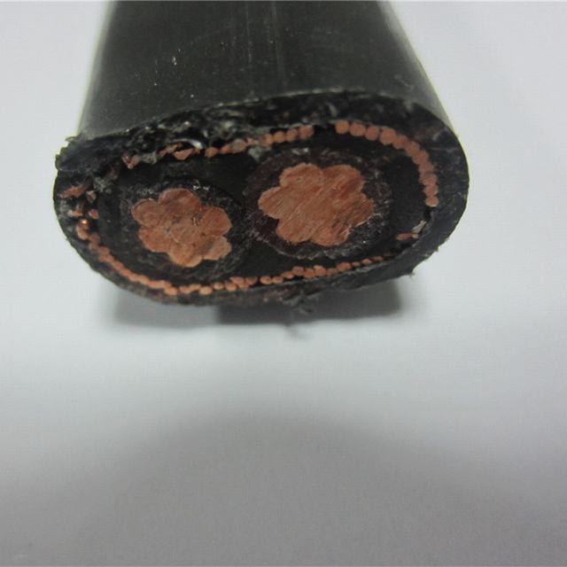  0.6/1kv 6mm2, 10mm2, PVC ha isolato il cavo concentrico di rame