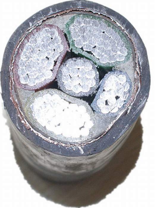 
                                 0.6/1kv Multicore XLPE isoleerde het Dubbele Aluminium van het Pantser van de Band van het Staal hij Cable                             