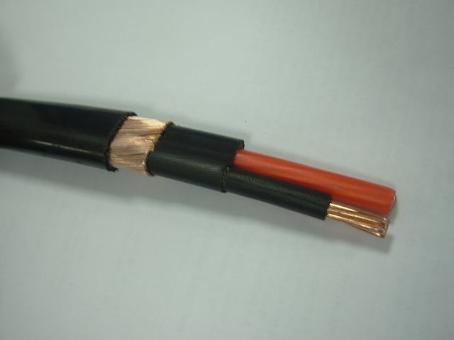600V 2X8 2X10 3X6 3X8 AWG XLPE Insulated Copper Concentric Cable