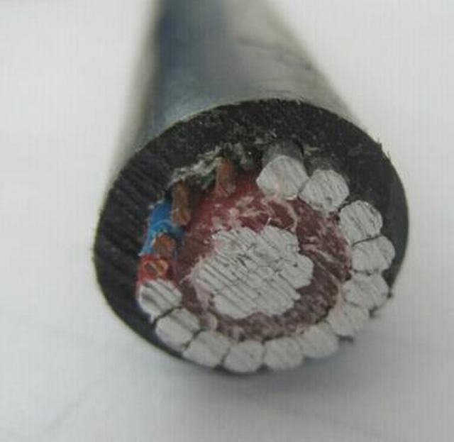  Cable concentrico 2X16mm2