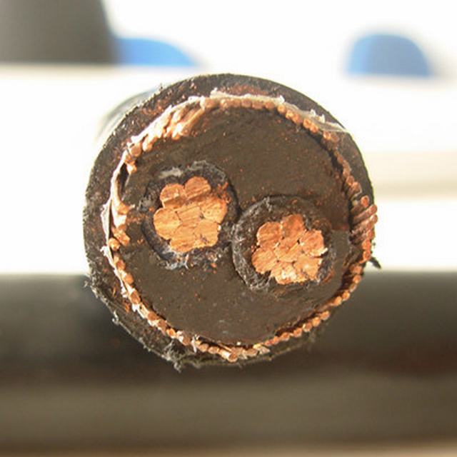  Cable concentrico 3X8AWG Copper Conductor
