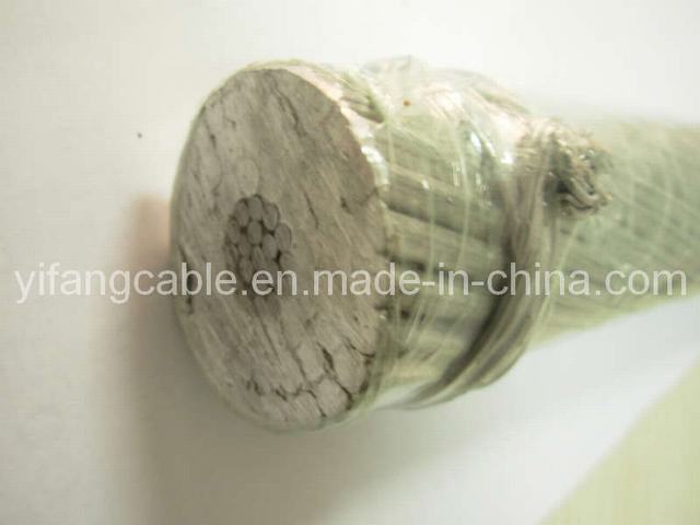  Conductor Concentrico-Lay-Stranded con Coated Steel Reinforced (ACSR)