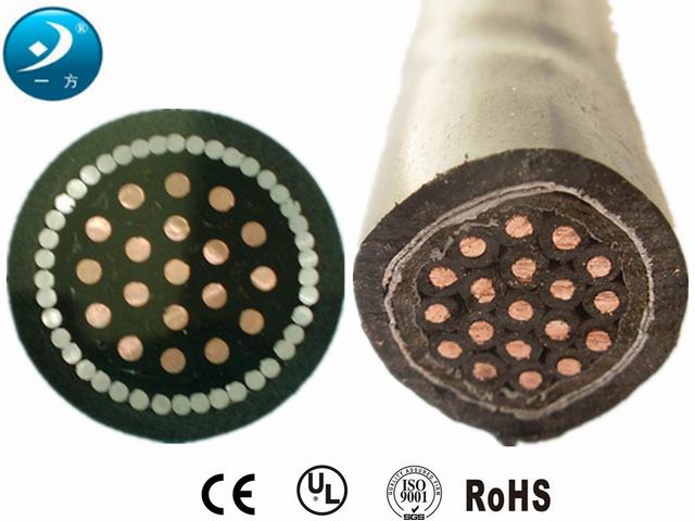  Câble de commande de conducteurs en cuivre avec isolation PVC solide avec gaine en PVC