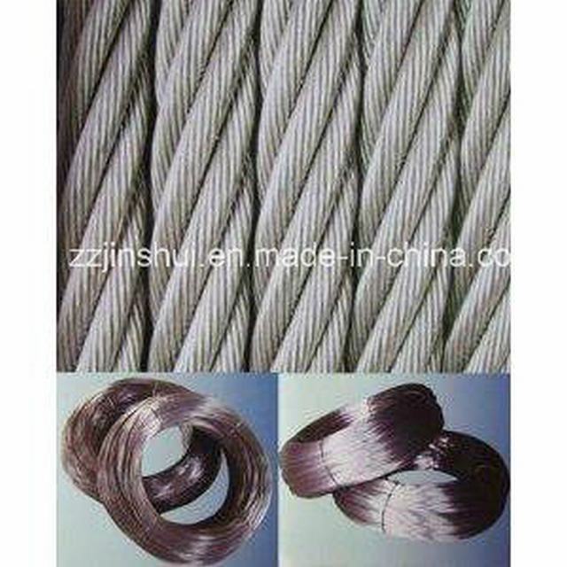  Gegalvaniseerd elektro/het Roestvrij staal van het Roestvrij staal Wire/304 316
