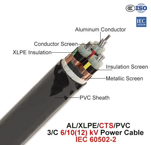  Al/XLPE/Cts/PVC, Power Cable, 6/10 (12) di chilovolt, 3/C (IEC 60502-2)