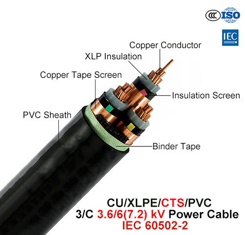 Cu/XLPE/CTS/PVC, câble d'alimentation, (7.2) 3.6/6 Kv, 3/C (IEC 60502-2)