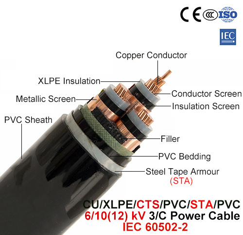  Cu/XLPE/CTS/PVC/sta/PVC, câble d'alimentation, 6/10 (12) Kv, 3/C (IEC 60502-2)