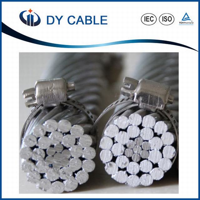  La norme ASTM kv 0.6/1Noyau en acier du fil torsadé câble ACSR en aluminium