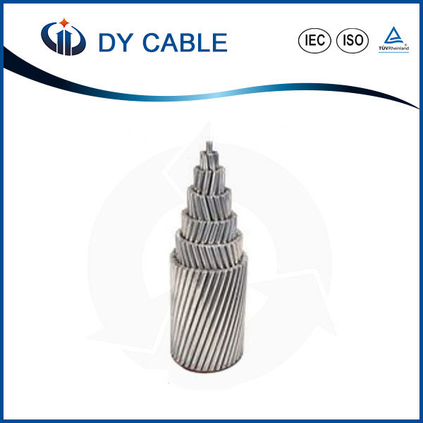  Передача мощности накладные расходы всех алюминиевых жильного кабеля AAC производителя