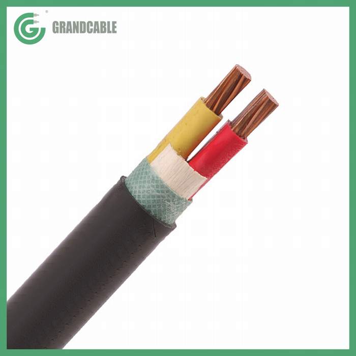 
                                 2x25mm2 aislamiento XLPE Conductor de cobre y PVC Anti termitas roedores Sheahted Cable de alimentación 0.6/1kV                            