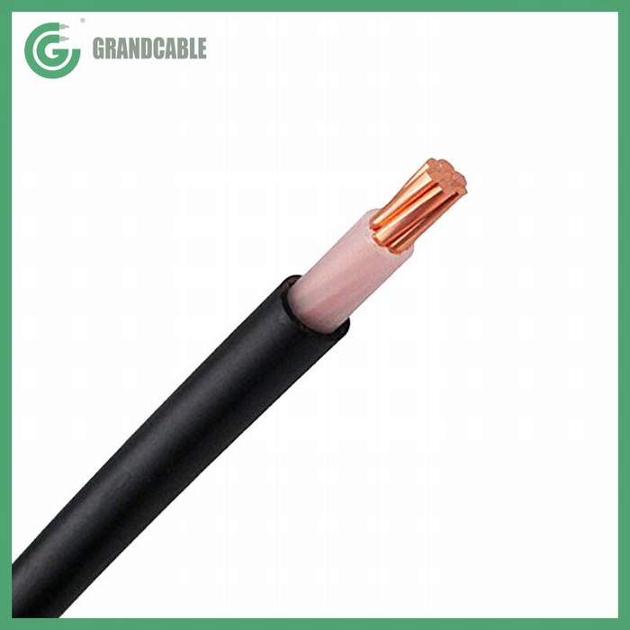 
                                 Single Core 1x50mm2 aislamiento XLPE Conductor de cobre y PVC Anti termitas roedores Sheahted 0.6/1kV de cable de alimentación                            