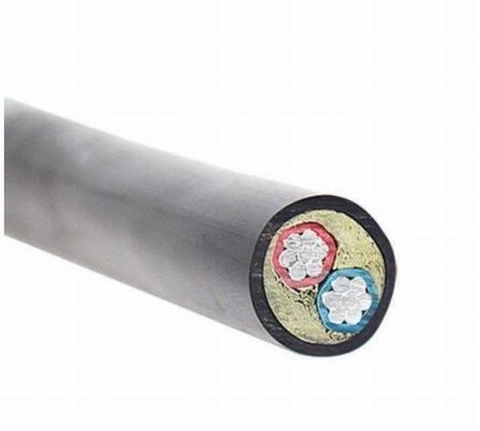 0.6/1.0kv Aluminum Conductor PVC XLPE Insulation PVC Sheath 2. *1.5-2*500mm2 Two Cores Wire Power Cable