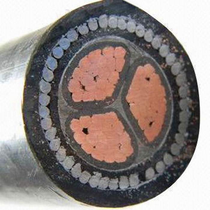 
                                 Conductor de cobre de 3 núcleos de alambre de acero con aislamiento XLPE Funda de PVC blindado el cable de alimentación                            