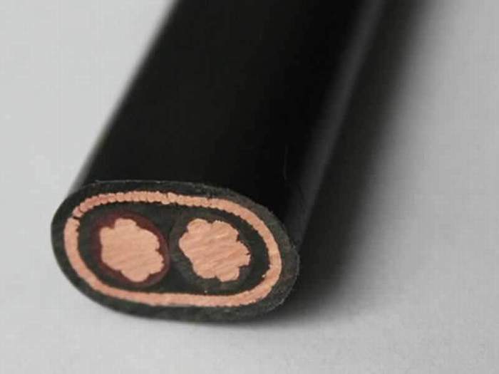 
                                 Conductor de cobre sólido de 600V Cable concéntrico con revestimiento aislante XLPE                            