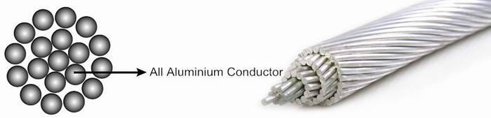 
                                 Fornitore della Cina tutto il conduttore di alluminio AAC per elettrico ambientale                            