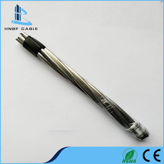Hnbf Cable All Aluminum Conductor AAC Electric Wire Conductor