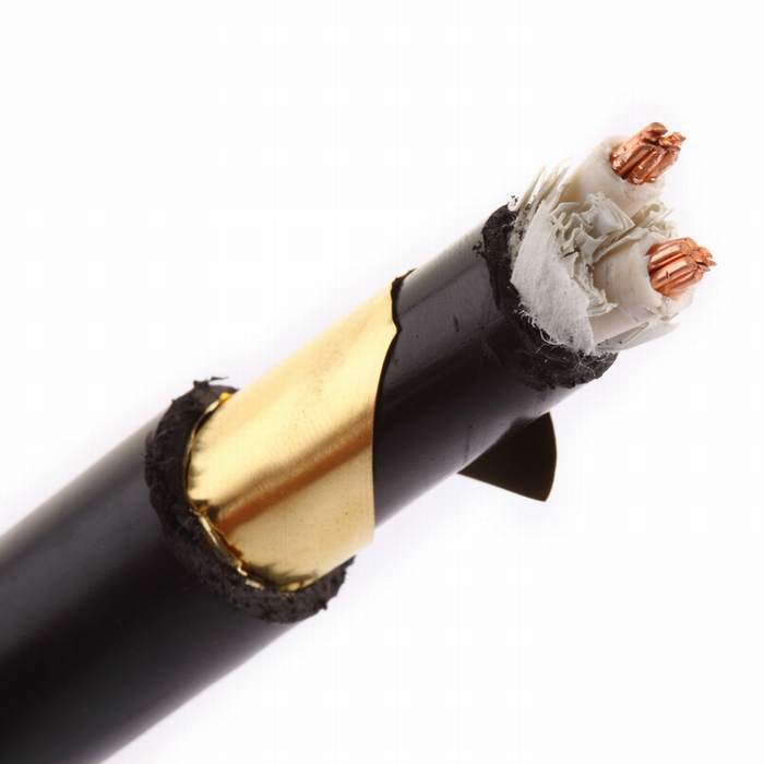 PVC XLPE Insulated PVC Sheathed Aluminum Cable 2*1.5-2*500 Two Cores Steel Tape Armoured Electric Power Cable