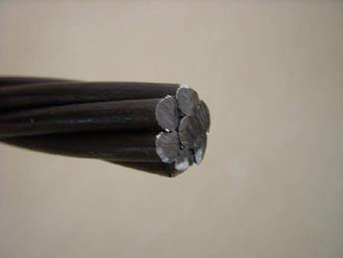 
                                 De Draad van het staal/van de Kerel met Soorten Grootte voor Elektronische Omheining wordt gebruikt die                            