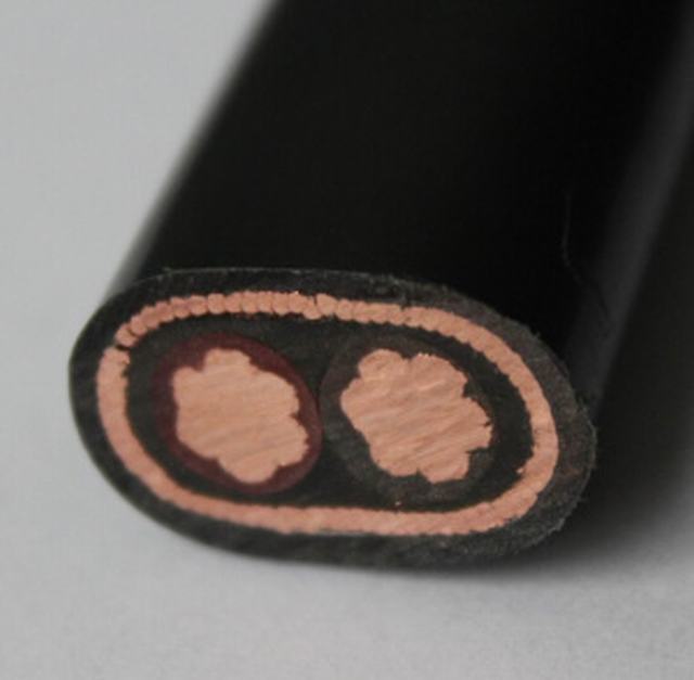 
                                 600V koperen 10mm2 Concentrische kabel                            