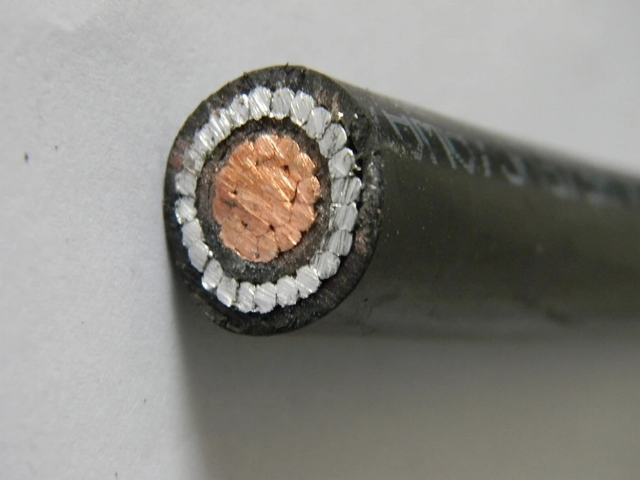 600V Copper 6AWG 4AWG 2AWG 1/0 AWG Concentric Cable