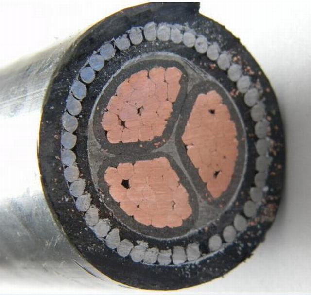 Al/Cu Conductor XLPE Insulated Thin/Thick Steel Armored PE Sheathed Power Cable