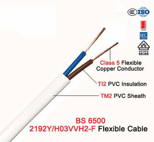 BS 6500 Standard 300/500V 450/750V Electrical Wire for Inside House Lighting Use