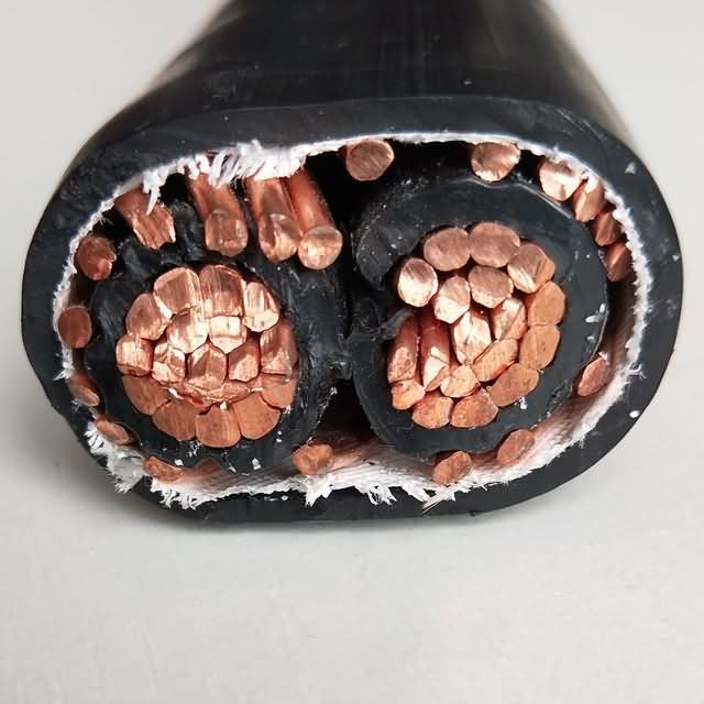  2*8AWG, 3*8AWG, 3*6AWG Seu CCA Câble concentriques Electric Wire & Cable