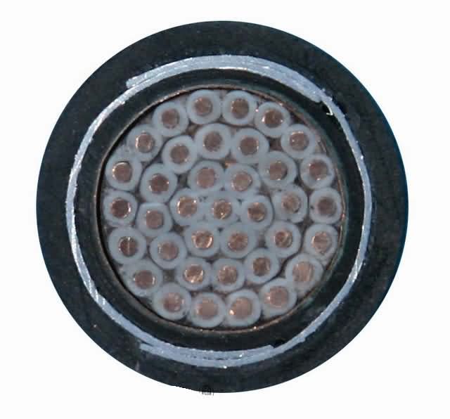  5*1,5 mm2, Conductor de cobre aislados en PVC, recubierto de PVC Cinta Cinta de acero, cobre, cable de mando blindado 450/750V