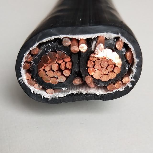 AWG Size Service Entrance Cable Ser Seu Copper Conductor 2 Core Concentric Electric Wire & Cable