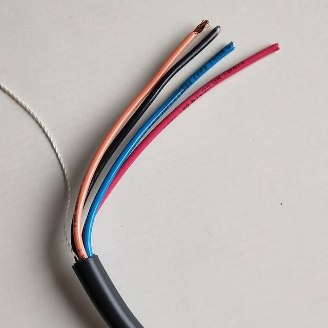  El conductor de varios cables de alimentación de bajo voltaje 600 V PVC/nylon tipo Cable Tc-Er/PVC