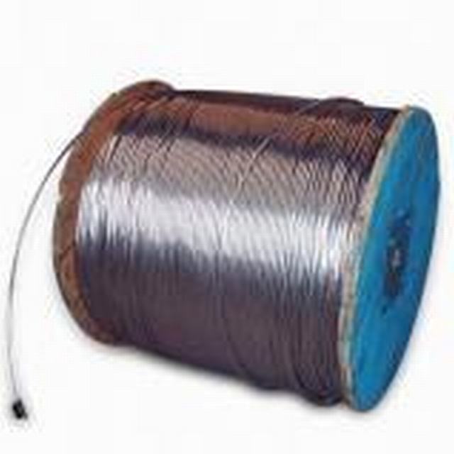 Hot Sell Galvanized Steel Wire/Strand